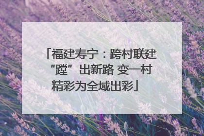 福建寿宁：跨村联建“蹚”出新路 变一村精彩为全域出彩