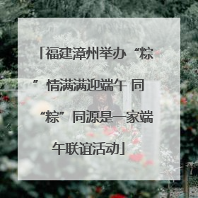 福建漳州举办“粽”情满满迎端午 同“粽”同源是一家端午联谊活动