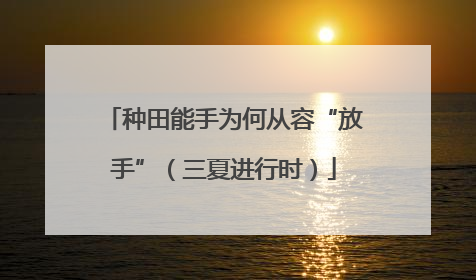 种田能手为何从容“放手”（三夏进行时）
