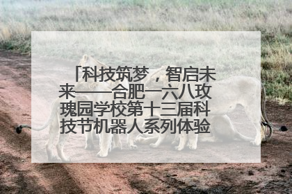 科技筑梦，智启未来——合肥一六八玫瑰园学校第十三届科技节机器人系列体验赛燃动校园