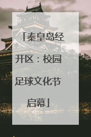 秦皇岛经开区：校园足球文化节启幕