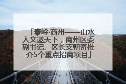 秦岭·商州——山水人文邀天下，商州区委副书记、区长支朝奇推介5个重点招商项目