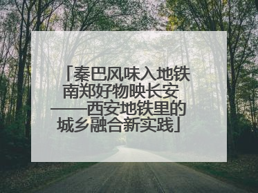 秦巴风味入地铁 南郑好物映长安——西安地铁里的城乡融合新实践