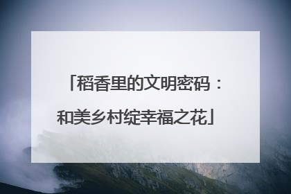 稻香里的文明密码：和美乡村绽幸福之花