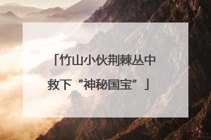 竹山小伙荆棘丛中救下“神秘国宝”