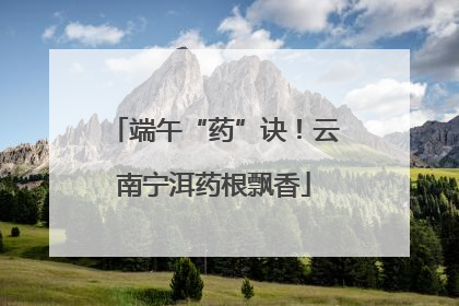 端午“药”诀！云南宁洱药根飘香