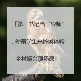 第一书记当“导师”，外籍学生来怀柔体验乡村振兴现场课