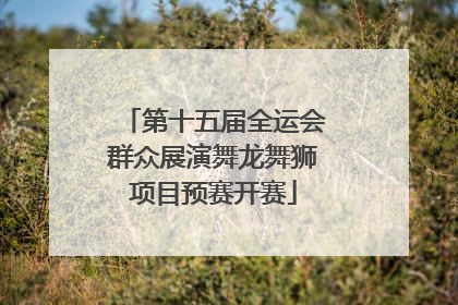 第十五届全运会群众展演舞龙舞狮项目预赛开赛
