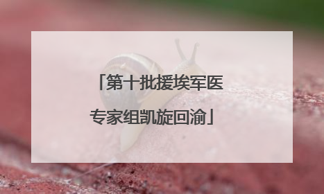 第十批援埃军医专家组凯旋回渝