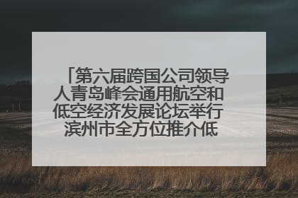 第六届跨国公司领导人青岛峰会通用航空和低空经济发展论坛举行 滨州市全方位推介低空经济发展优势