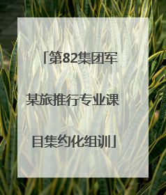 第82集团军某旅推行专业课目集约化组训