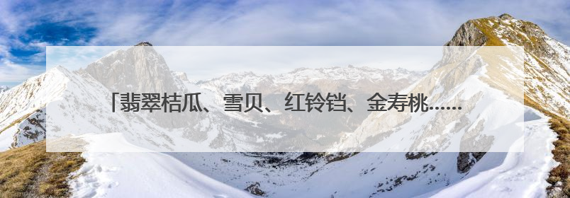 翡翠桔瓜、雪贝、红铃铛、金寿桃……上海市农科院开启“缤纷蔬菜之约”