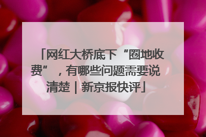 网红大桥底下“圈地收费”，有哪些问题需要说清楚｜新京报快评