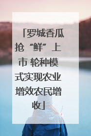 罗城香瓜抢“鲜”上市 轮种模式实现农业增效农民增收