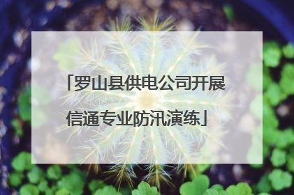 罗山县供电公司开展信通专业防汛演练