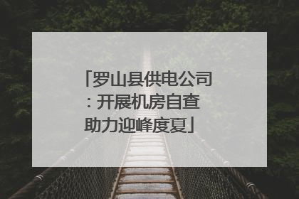 罗山县供电公司：开展机房自查 助力迎峰度夏