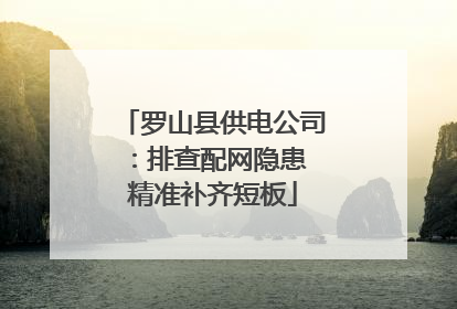 罗山县供电公司：排查配网隐患 精准补齐短板