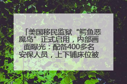 美国移民监狱“鳄鱼恶魔岛”正式启用，内部画面曝光：配备400多名安保人员，上下铺床位被罩在铁丝网里