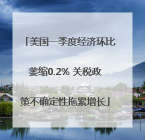 美国一季度经济环比萎缩0.2% 关税政策不确定性拖累增长