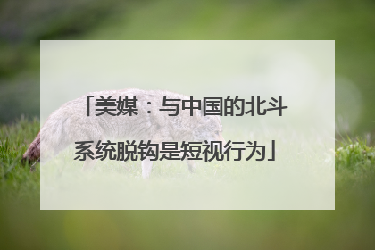 美媒：与中国的北斗系统脱钩是短视行为