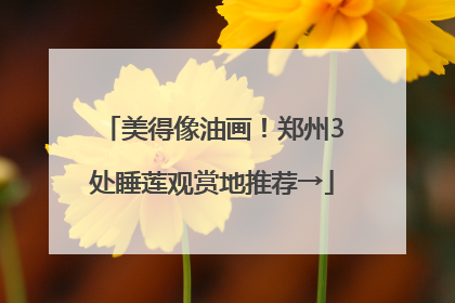 美得像油画！郑州3处睡莲观赏地推荐→