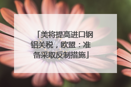 美将提高进口钢铝关税，欧盟：准备采取反制措施