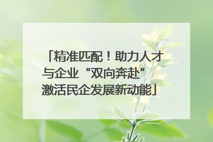 精准匹配！助力人才与企业“双向奔赴” 激活民企发展新动能