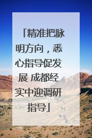 精准把脉明方向，悉心指导促发展 成都经实中迎调研指导