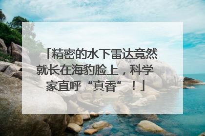 精密的水下雷达竟然就长在海豹脸上，科学家直呼“真香”！
