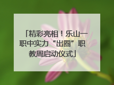 精彩亮相！乐山一职中实力“出圈”职教周启动仪式