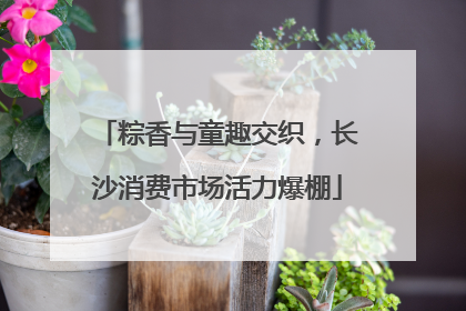 粽香与童趣交织，长沙消费市场活力爆棚