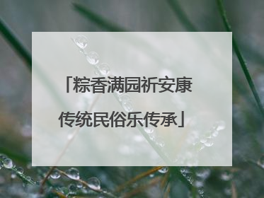 粽香满园祈安康 传统民俗乐传承