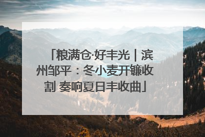 粮满仓·好丰光｜滨州邹平：冬小麦开镰收割 奏响夏日丰收曲