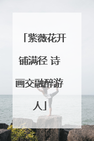 紫薇花开铺满径 诗画交融醉游人