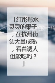 红彤彤水灵灵的果子，在杭州街头大量成熟，看着诱人但能吃吗？