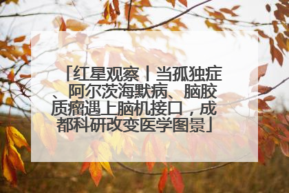 红星观察丨当孤独症、阿尔茨海默病、脑胶质瘤遇上脑机接口，成都科研改变医学图景