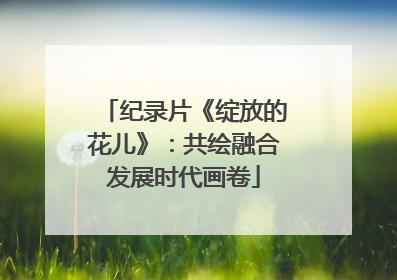纪录片《绽放的花儿》：共绘融合发展时代画卷