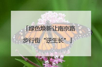 绿色焕新让南京路步行街“逆生长”
