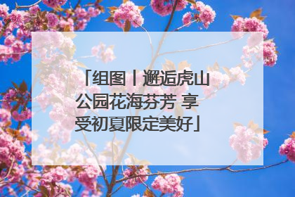 组图丨邂逅虎山公园花海芬芳 享受初夏限定美好