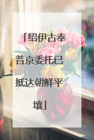 绍伊古奉普京委托已抵达朝鲜平壤