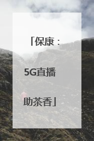 保康：5G直播助茶香