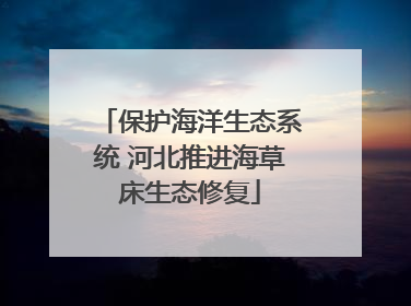 保护海洋生态系统 河北推进海草床生态修复