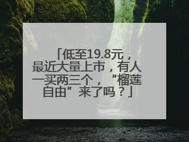 低至19.8元，最近大量上市，有人一买两三个，“榴莲自由”来了吗？