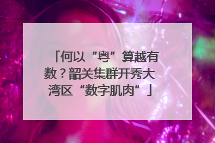 何以“粤”算越有数？韶关集群开秀大湾区“数字肌肉”