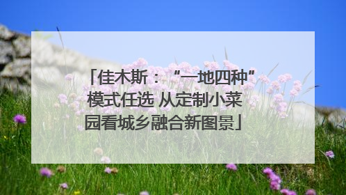 佳木斯：“一地四种” 模式任选 从定制小菜园看城乡融合新图景