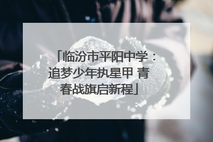 临汾市平阳中学：追梦少年执星甲 青春战旗启新程