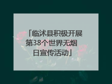 临沭县积极开展第38个世界无烟日宣传活动