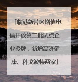 临港新片区增值电信开放第二批试点企业授牌：新增高济健康、科戈波特两家