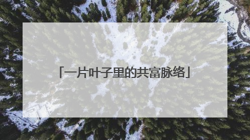 一片叶子里的共富脉络