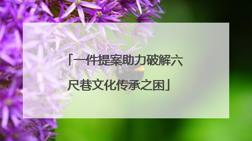 一件提案助力破解六尺巷文化传承之困